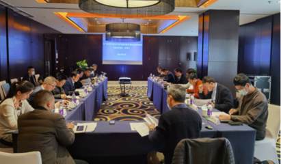 黃文川主持召開《廣西百色重點開發開放試驗區建設總體規劃》專家咨詢會(北京)